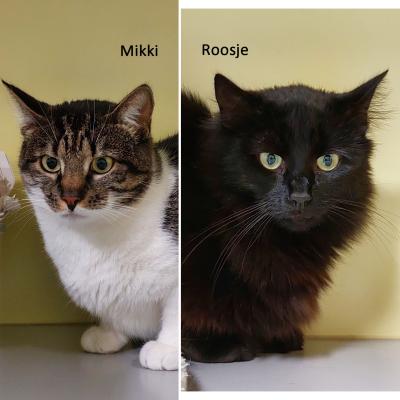 Mikki en Roosje